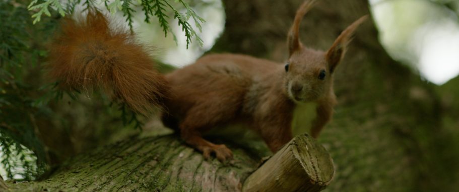 Verwalterhaus Berlin